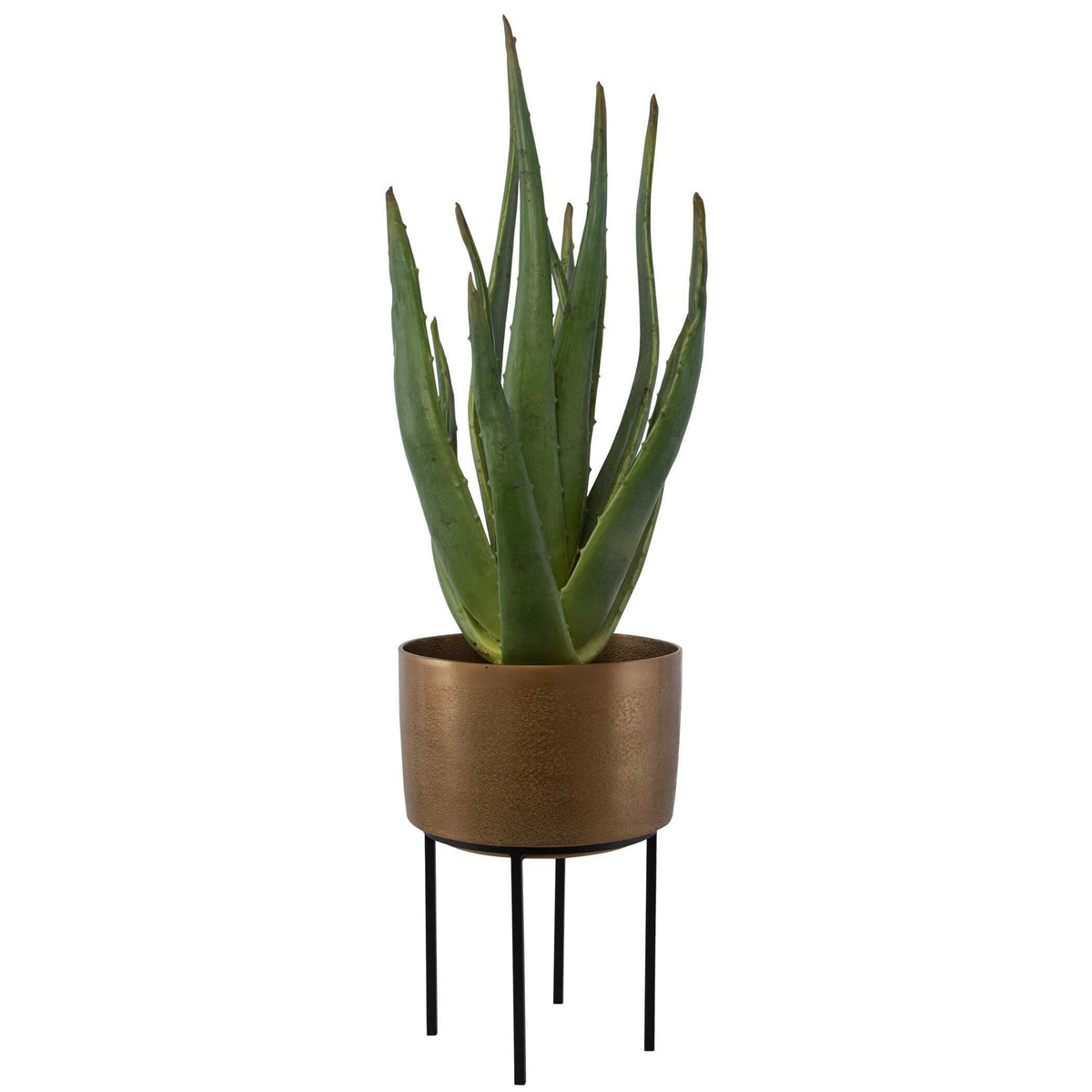 Arabia Aloe Planter - Dark Brown by Uttermost - View 3