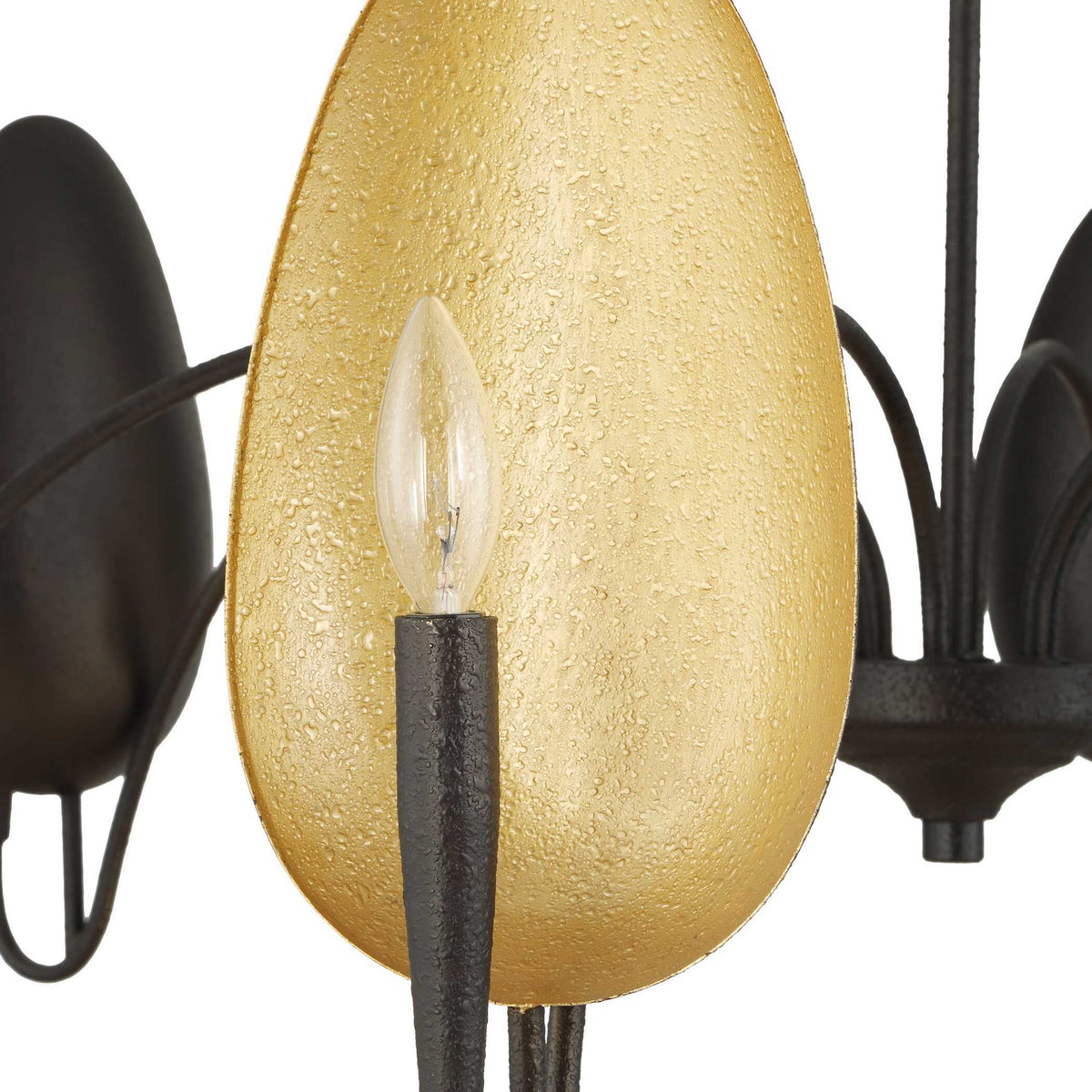 Warwick 6 Light Chandelier Matte Black - Black / Gold by Uttermost - View 12