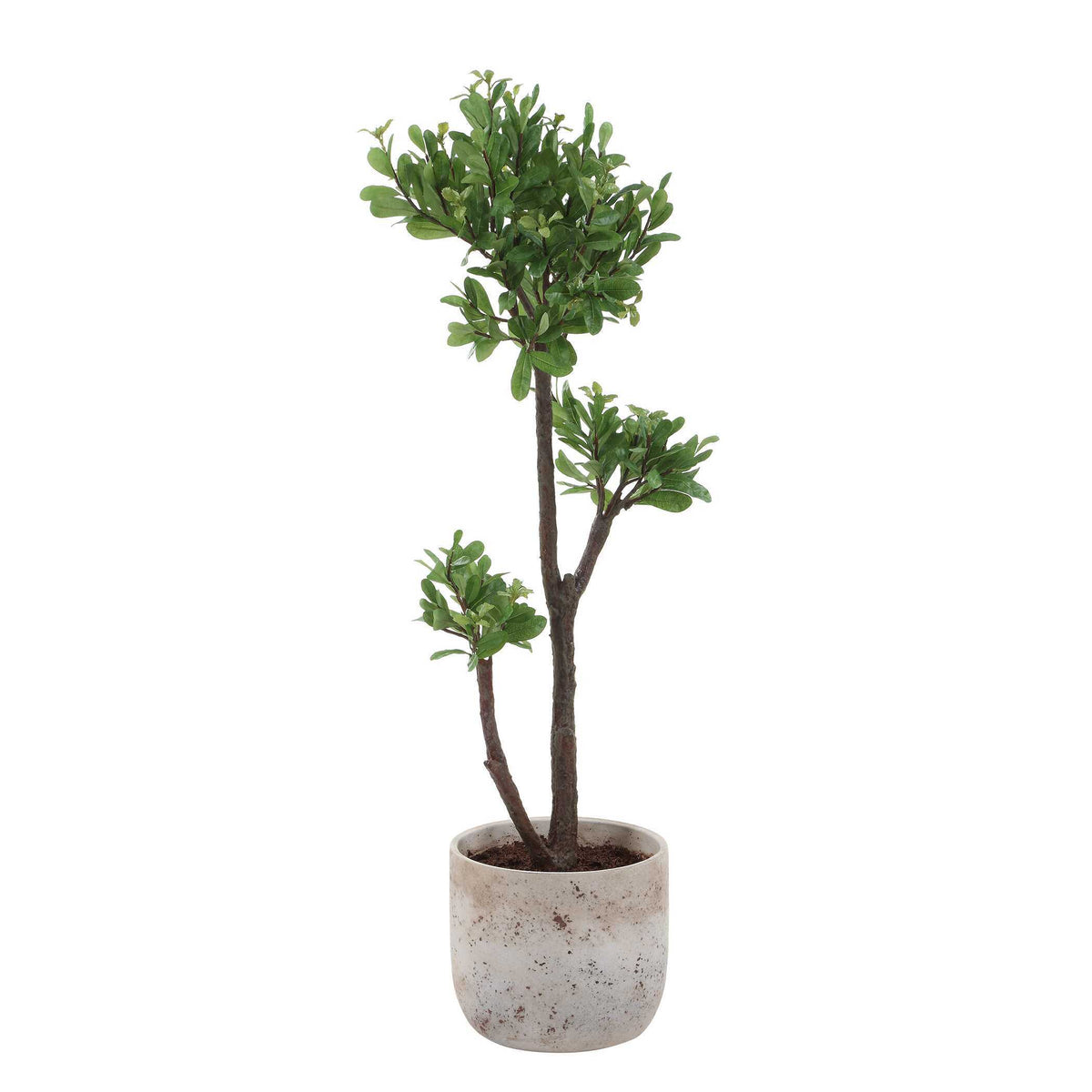 Arbor Strawberry Tree Brown / Green - Green / Beige by Uttermost - View 4