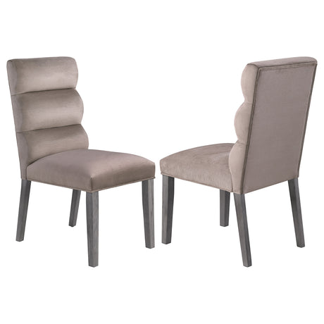 Carla Velvet Upholstered Dining Side Chair Ash (Set of 2) - Home Elegance USA