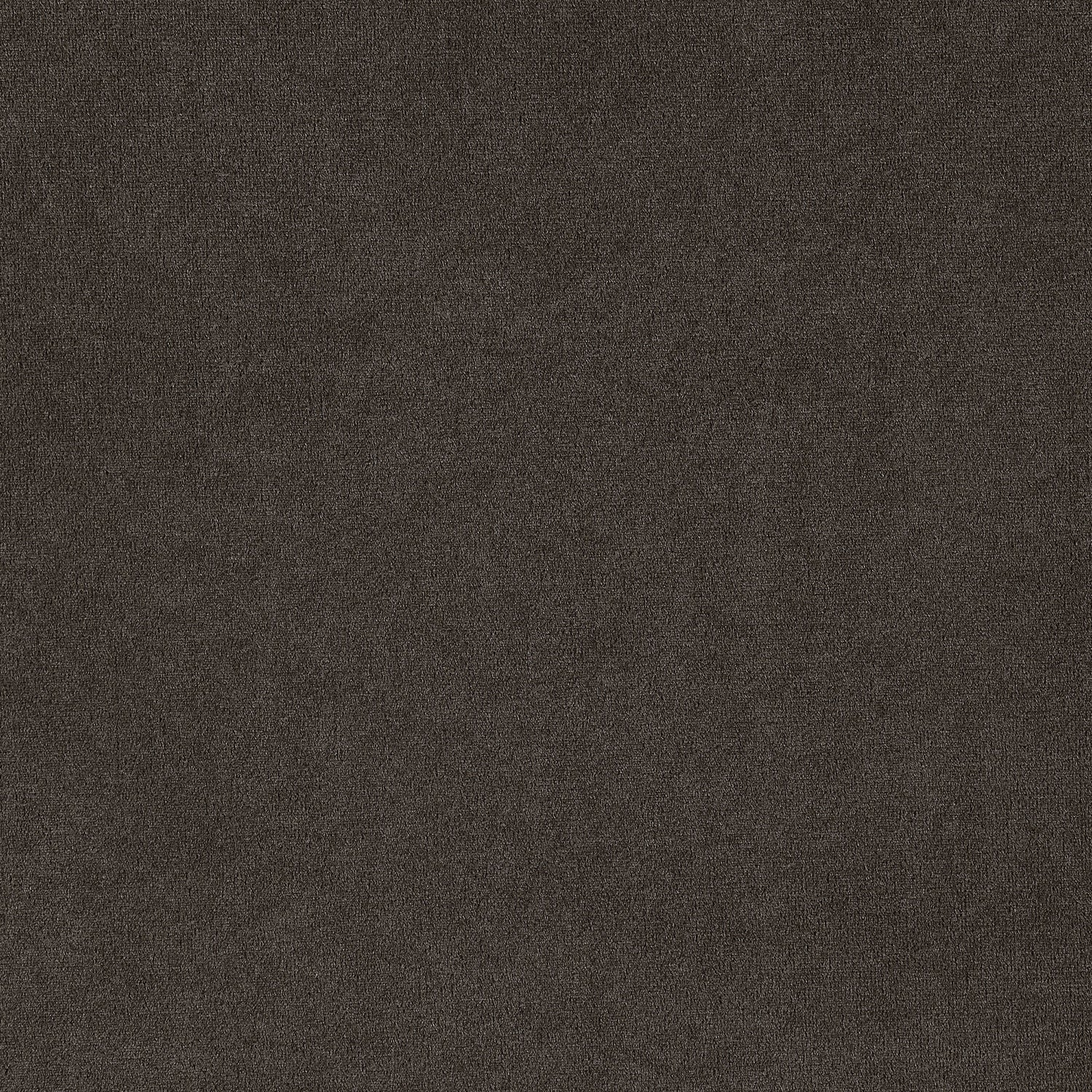 Alana Velvet Upholstered Dining Side Chair Brown (Set of 2) - Home Elegance USA