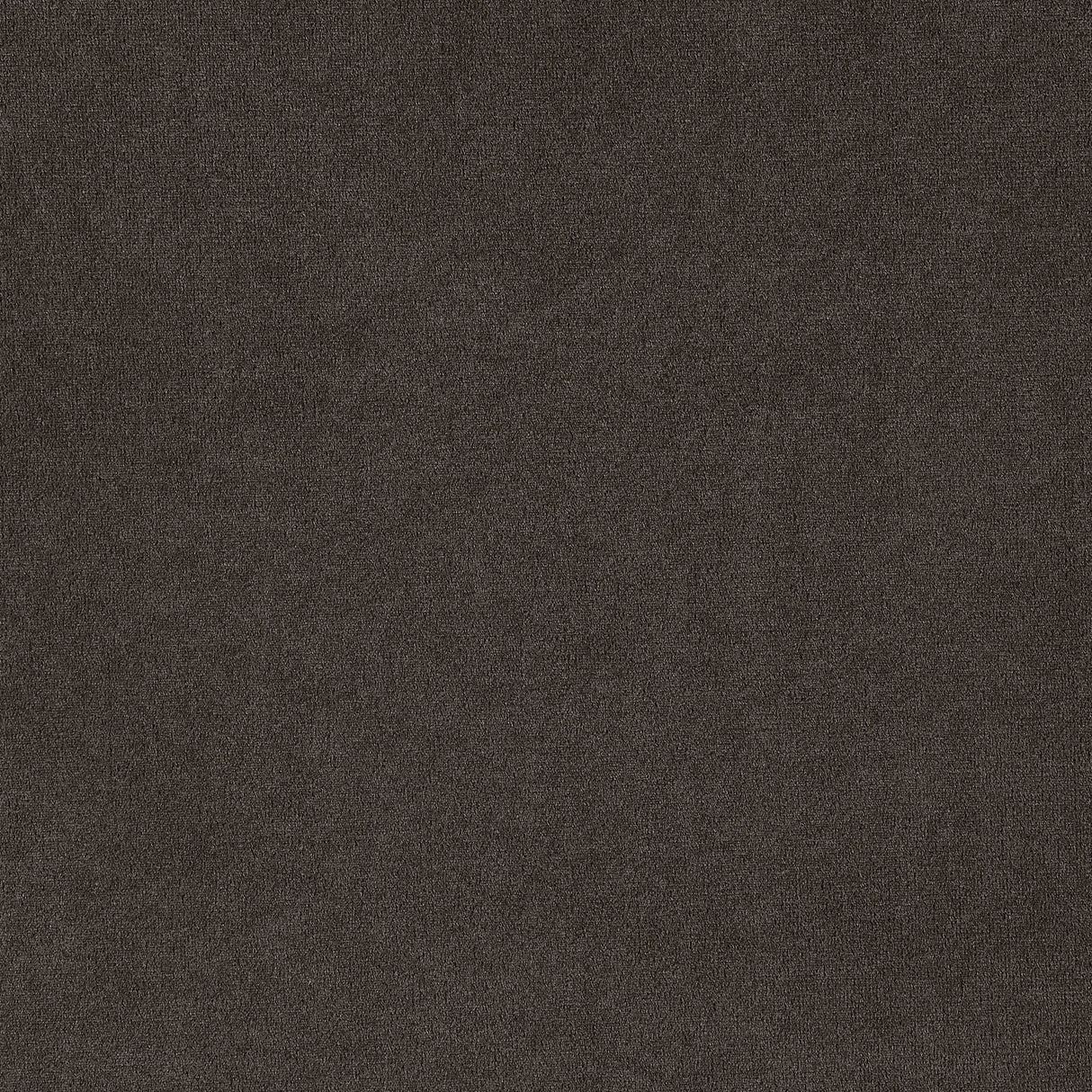 Alana Velvet Upholstered Dining Arm Chair Brown - Home Elegance USA