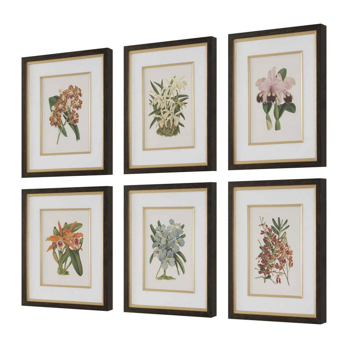 Orchid Botanical Framed Prints (Set of 6) - Green / Orange by Uttermost - View 3