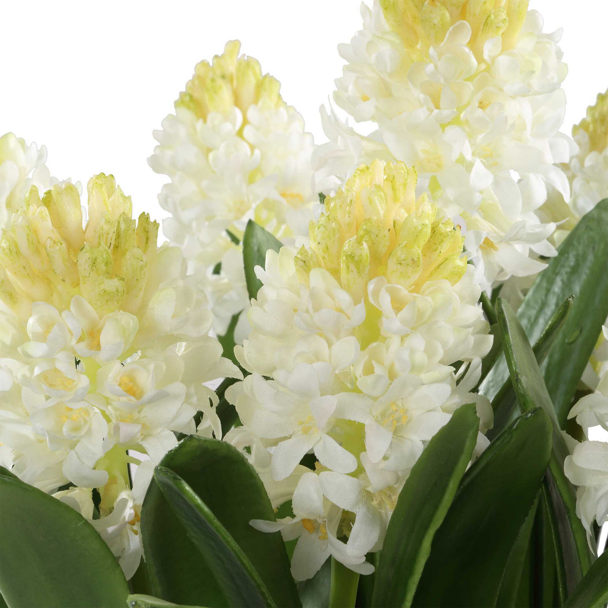 Sincerity Potted Hyacinth Plant - Green by Uttermost - View 4