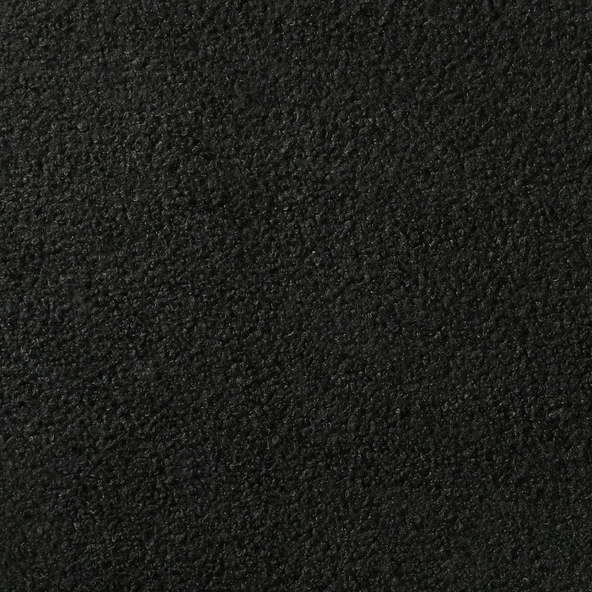 Miranda 54-inch Upholstered Queen Panel Bed Black -  Coaster Furniture