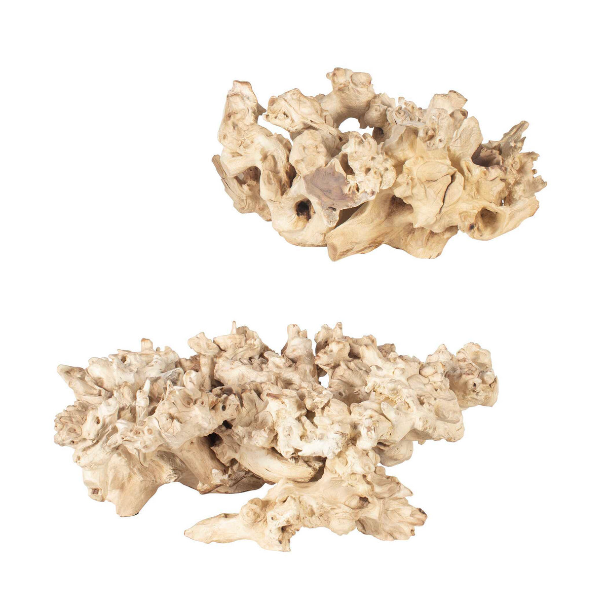 Elemental Root Outdoor Sculptures (Set of 2) - White by Uttermost - View 3