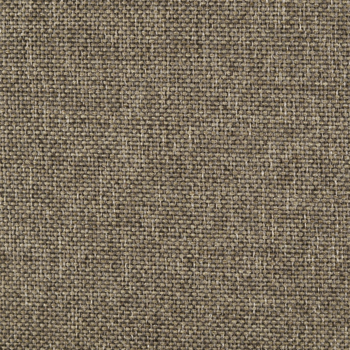 Wilkes 51-inch Upholstered Queen Bed Dark Cocoa -  Coaster Furniture