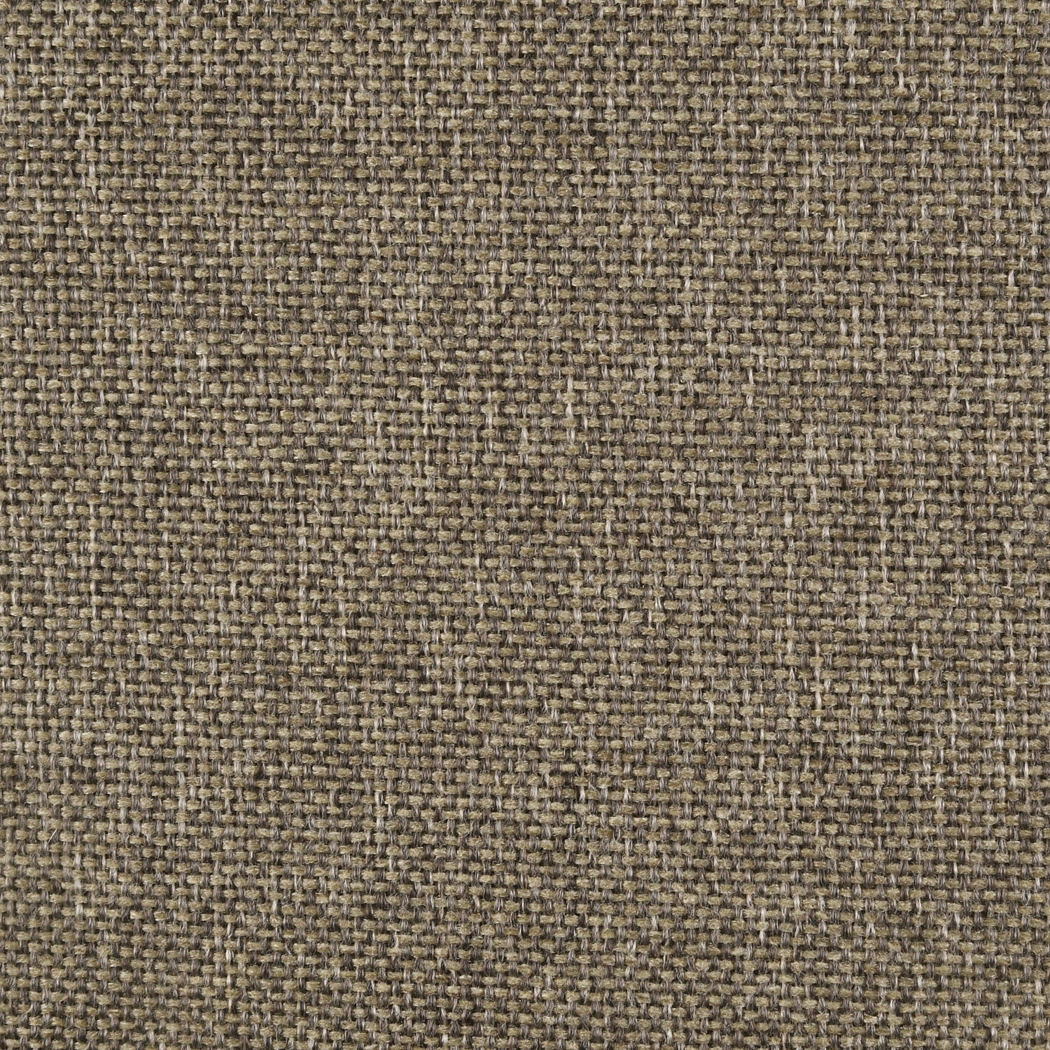 Wilkes 51-inch Upholstered Queen Bed Dark Cocoa -  Coaster Furniture