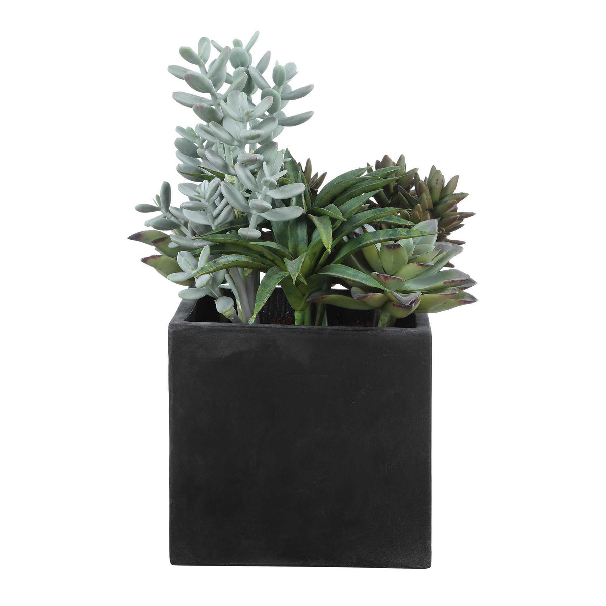 Greystone Indoor-Outdoor Succulent - Green by Uttermost - View 6
