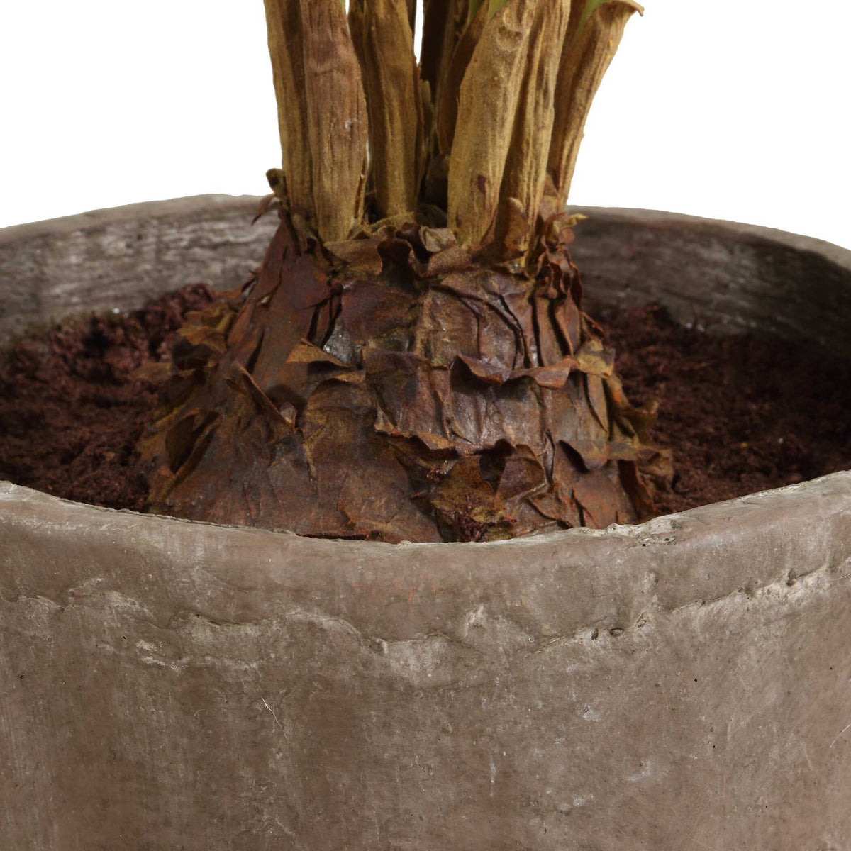 Zamia Palm Accent In Planter - Green by Uttermost - View 5