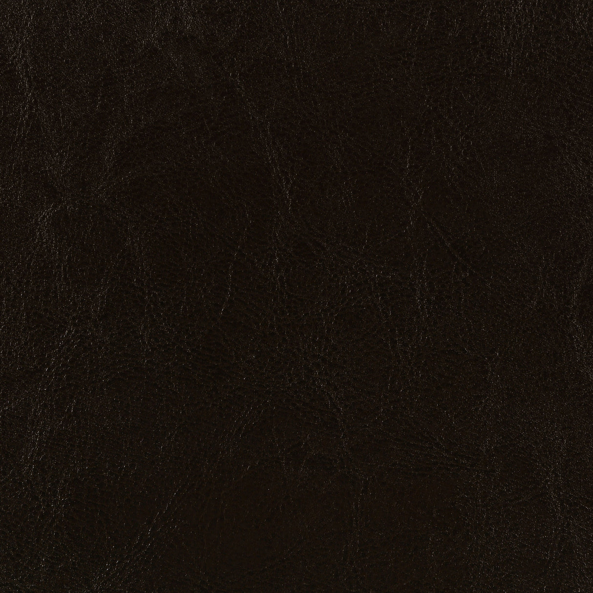 Dorian Upholstered Queen Panel Bed Brown - Home Elegance USA