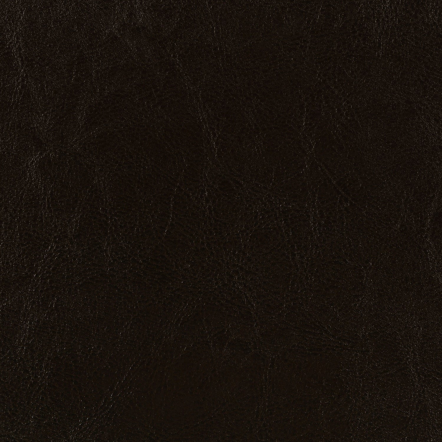 Dorian Upholstered Queen Panel Bed Brown - Home Elegance USA