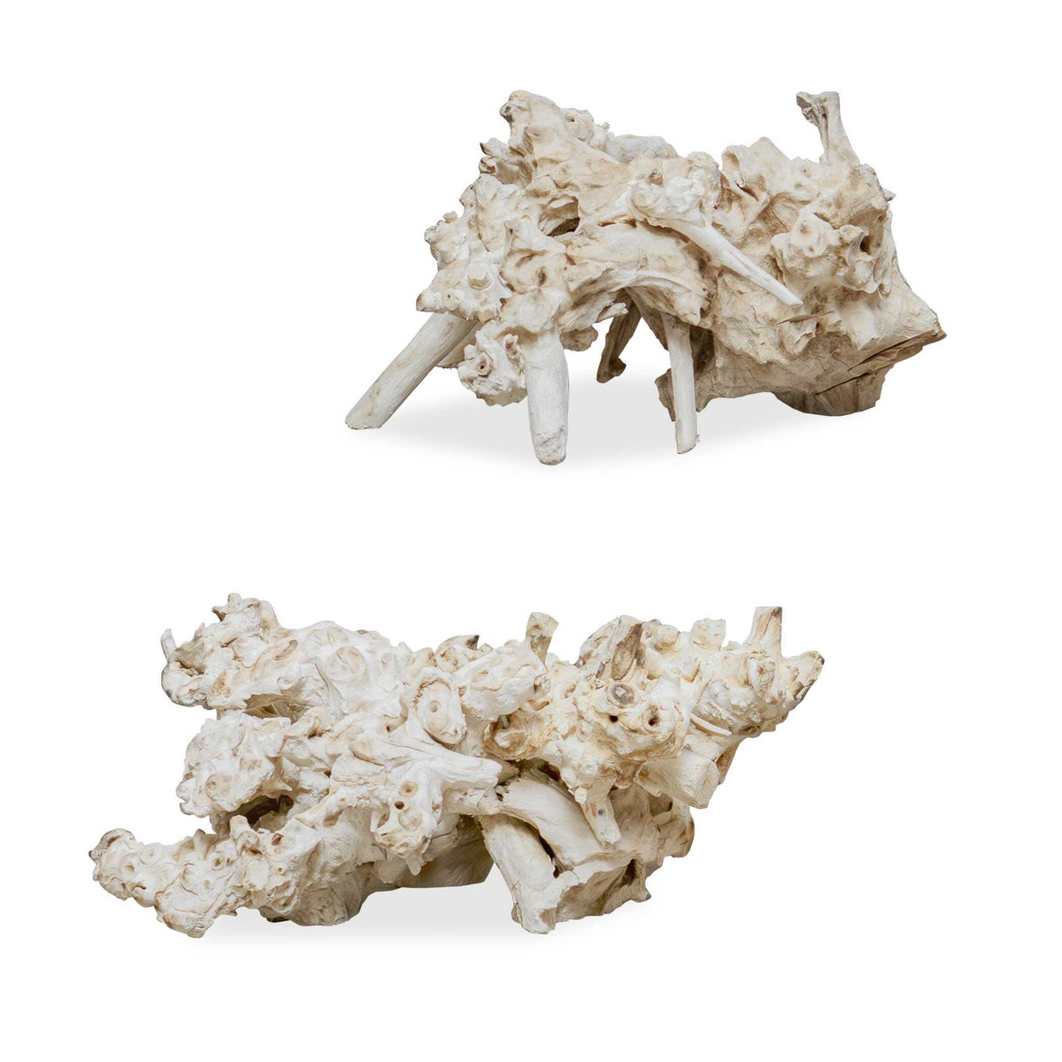 Elemental Root Outdoor Sculptures (Set of 2) - White by Uttermost - View 1