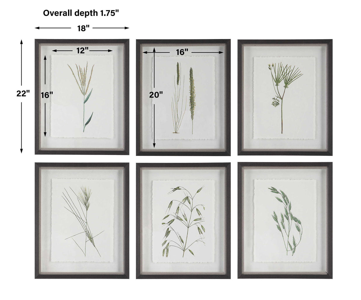 Forest Finds Finds Framed Prints (Set of 6) - White / Green by Uttermost - View 9