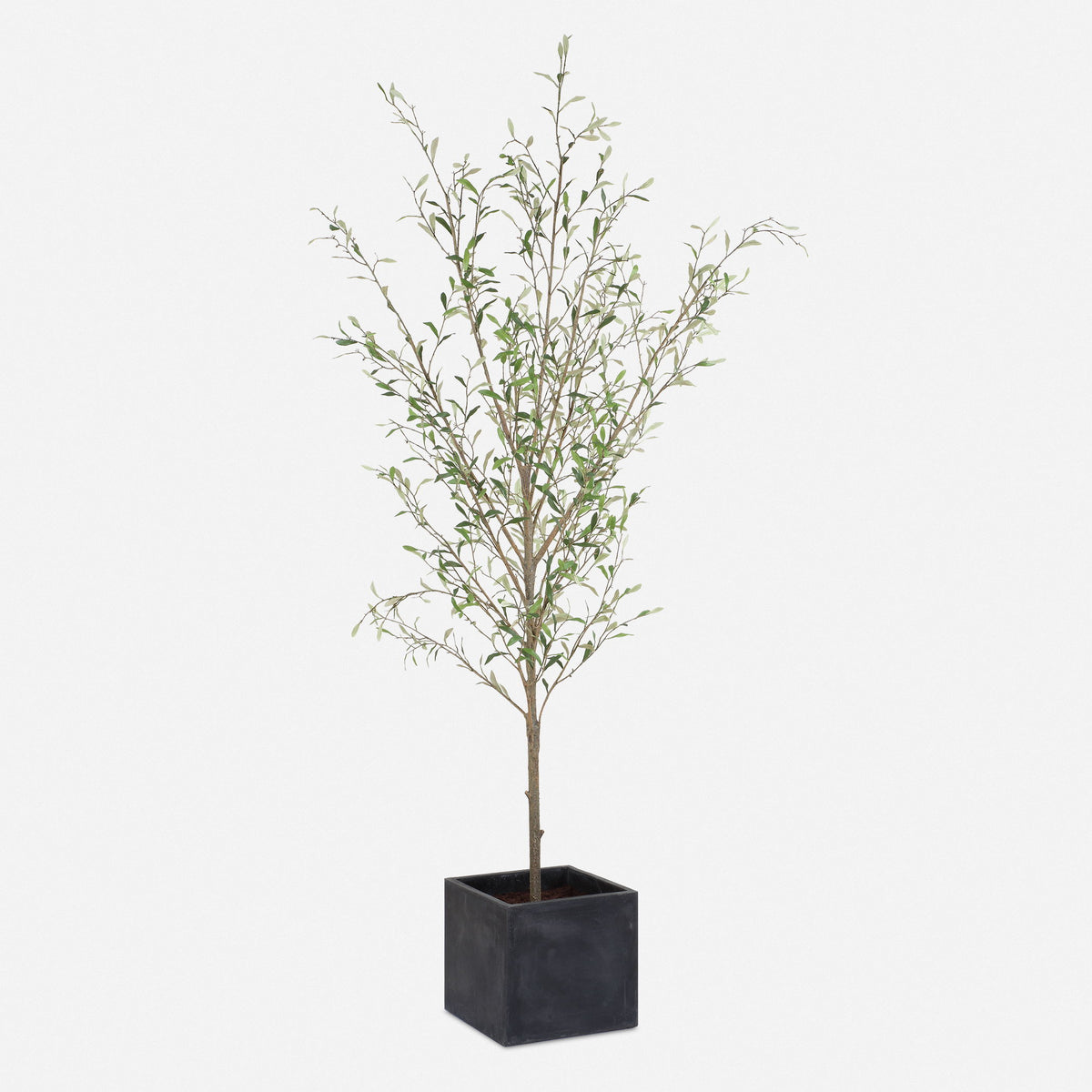 Abundance Potted Olive Tree - Black / Green by Uttermost - View 1