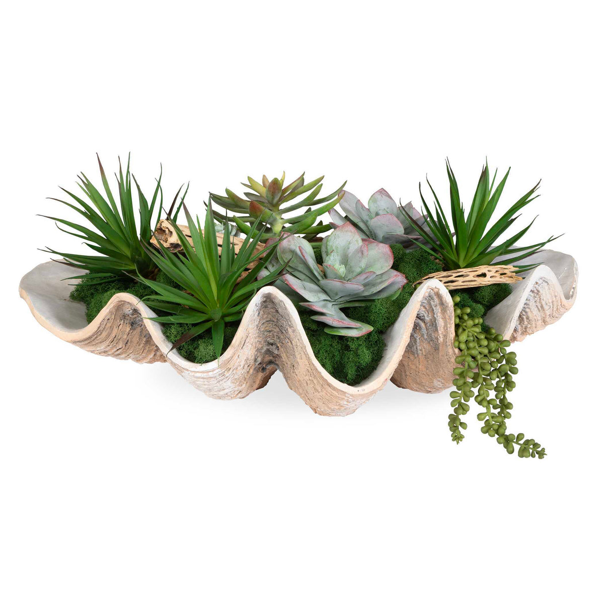 Seaside Breeze Succulents - Light Brown by Uttermost - View 1