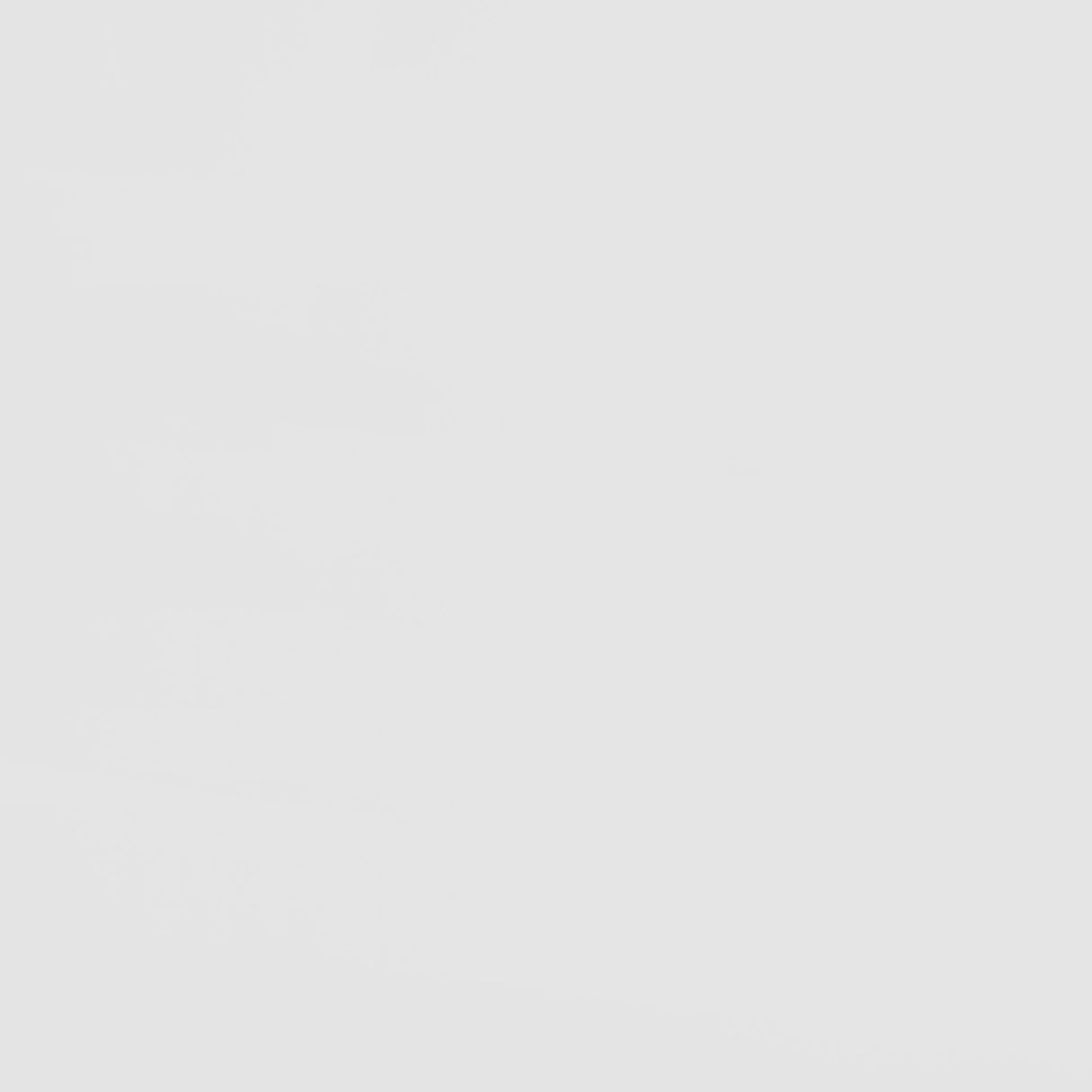 Wyatt Wood Twin Over Twin Bunk Bed White and Natural - Home Elegance USA