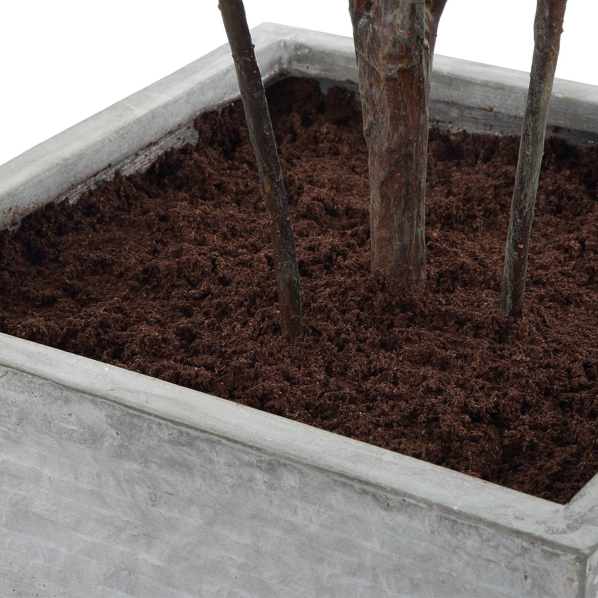 Sonora Olive Tree In Planter - Gray / Green by Uttermost - View 7