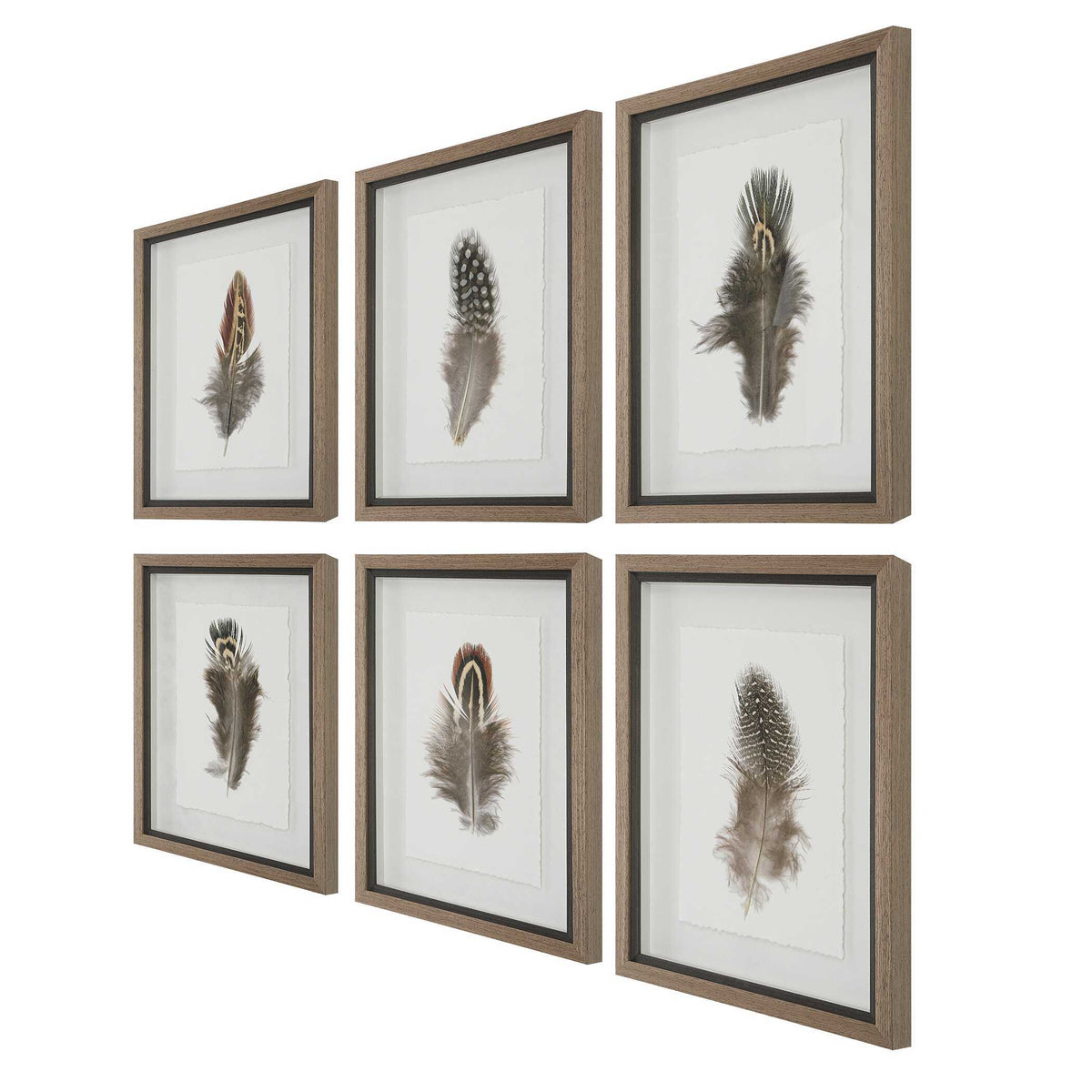 Birds Of A Feather Framed Prints (Set of 6) - Dark Brown by Uttermost - View 6