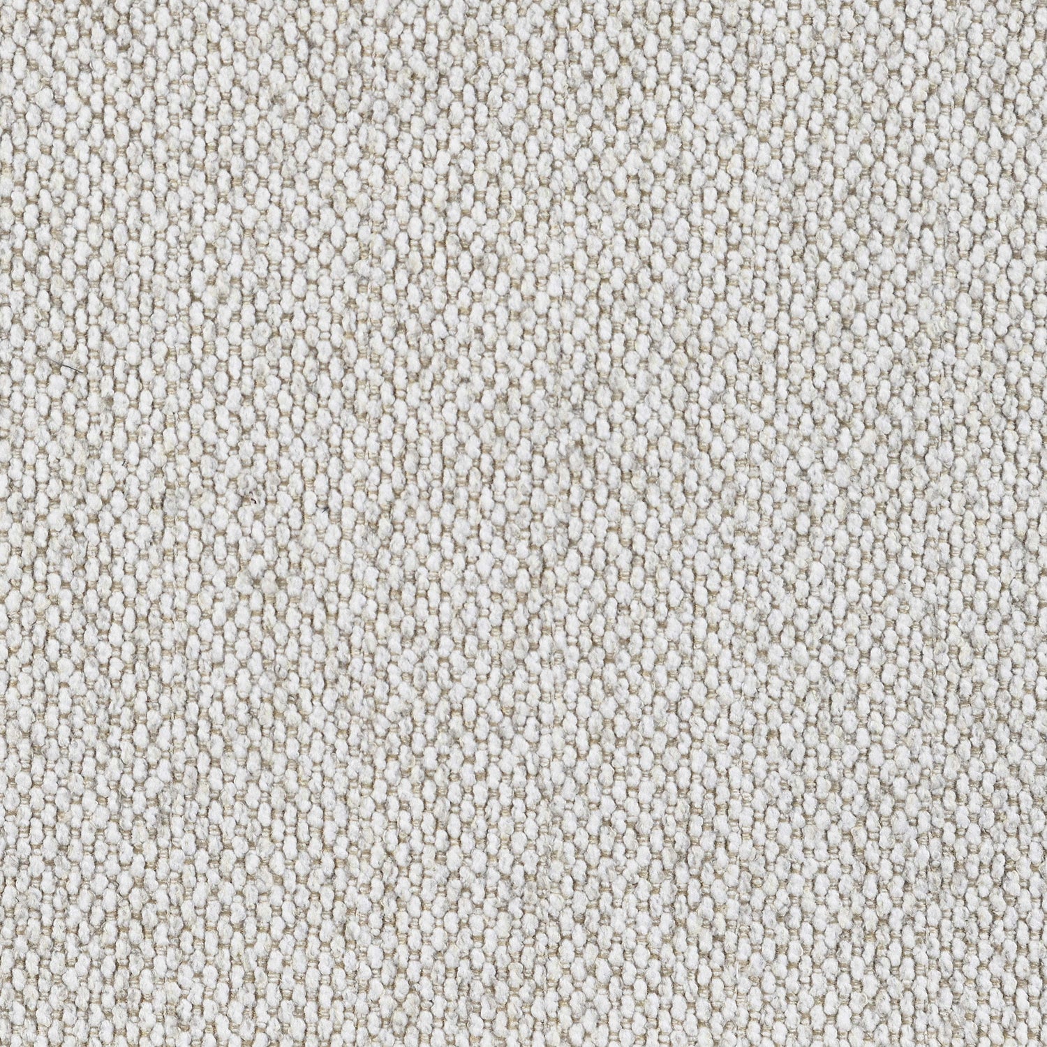 Sofa - Rainn Upholstered Tight Back Sofa Latte