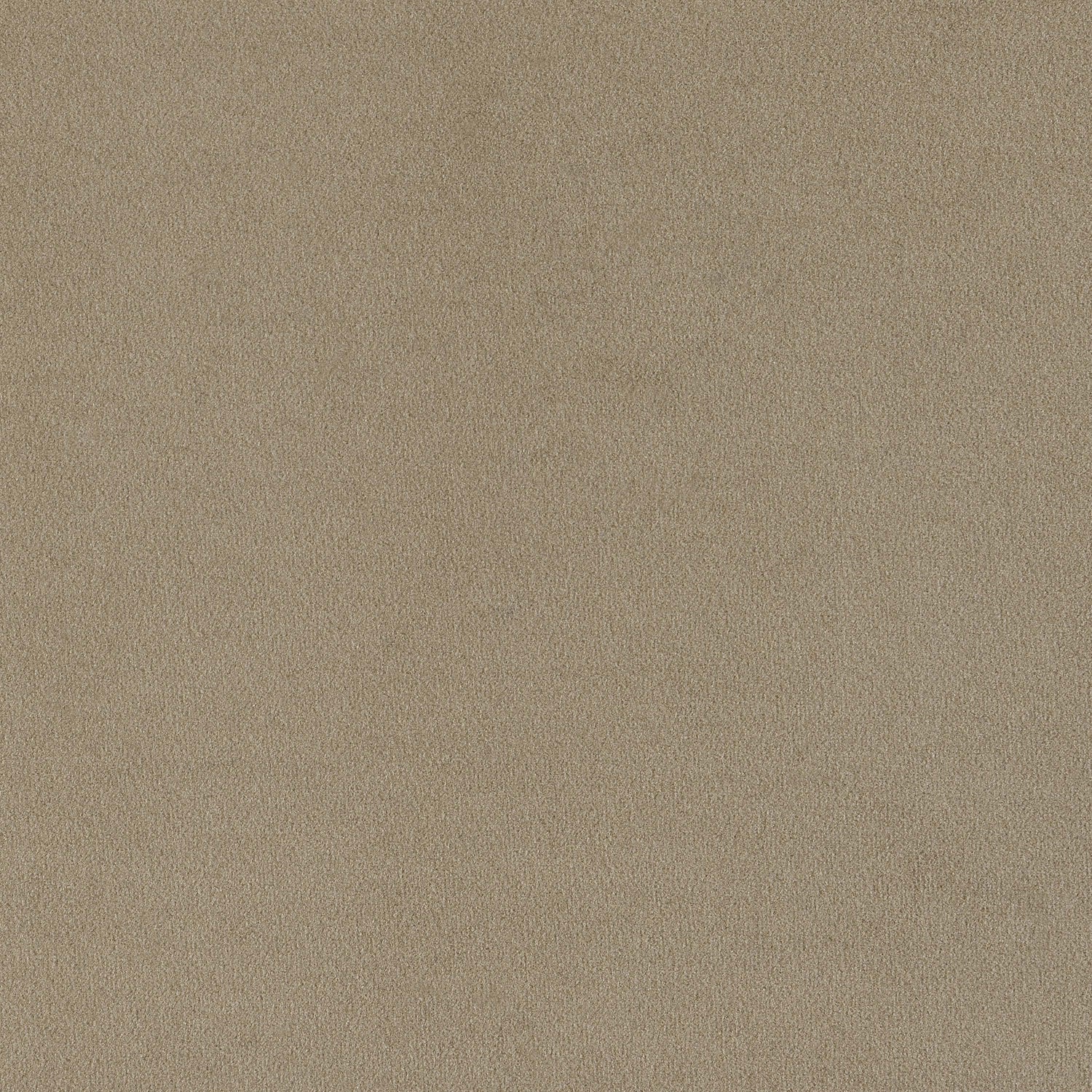 Sofa - Rainn Upholstered Tight Back Sofa Latte
