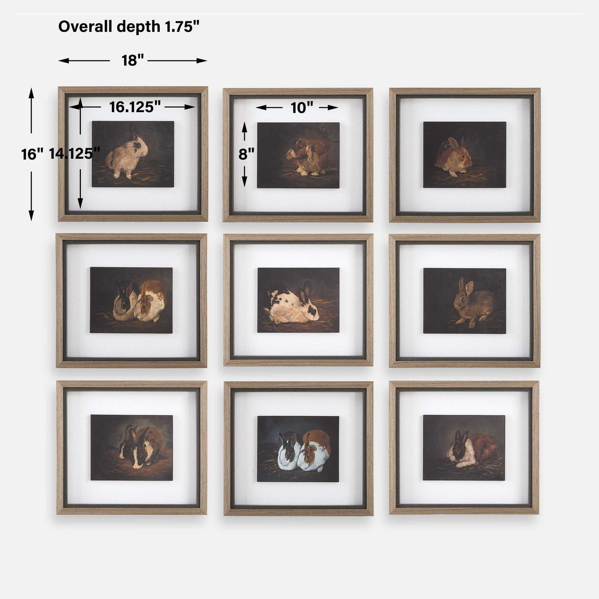 Resting Bunny Framed Prints (Set of 9) - Dark Brown by Uttermost - View 8