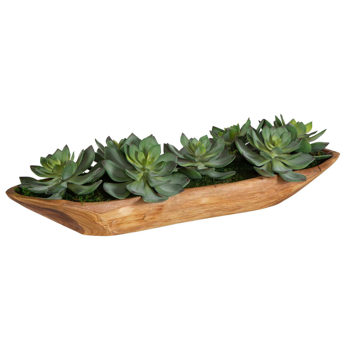 Yuma Succulent Centerpiece - Dark Brown / Green by Uttermost - View 3