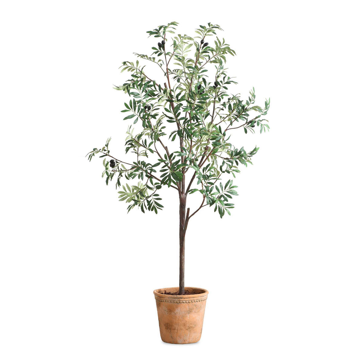 Olea Potted Olive Tree - Green by Uttermost - View 1
