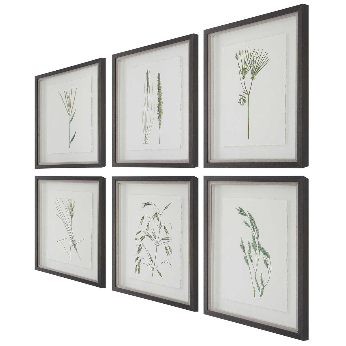 Forest Finds Finds Framed Prints (Set of 6) - White / Green by Uttermost - View 6