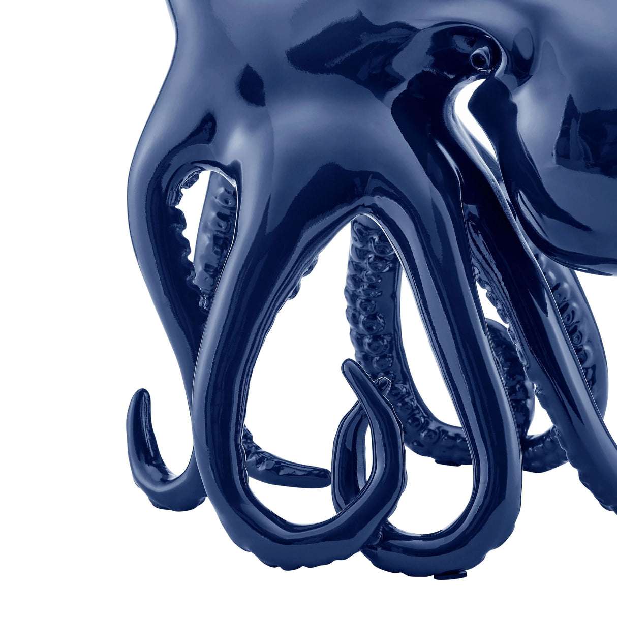 Pulpo Sugvar // Azul | Finesse