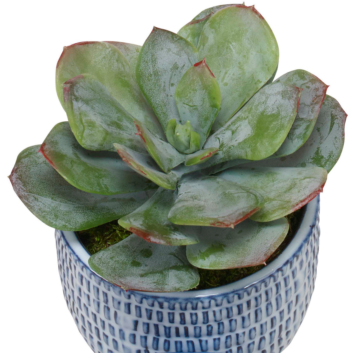 Puebla Greenery In Blue & White Pots (Set of 3) - Green / Blue by Uttermost - View 3