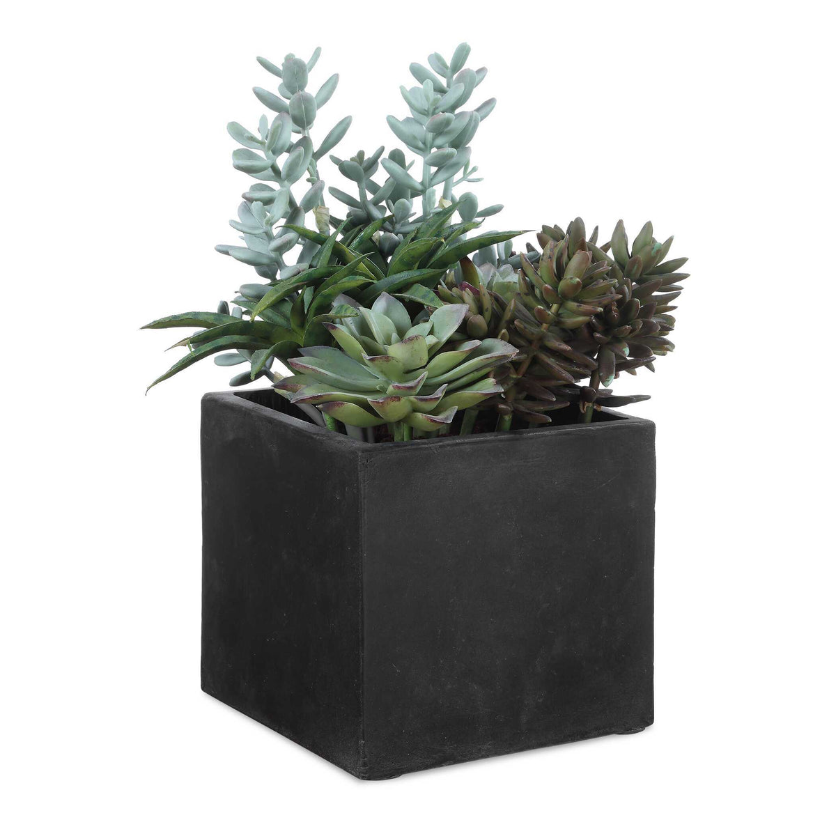 Greystone Indoor-Outdoor Succulent - Green by Uttermost - View 1