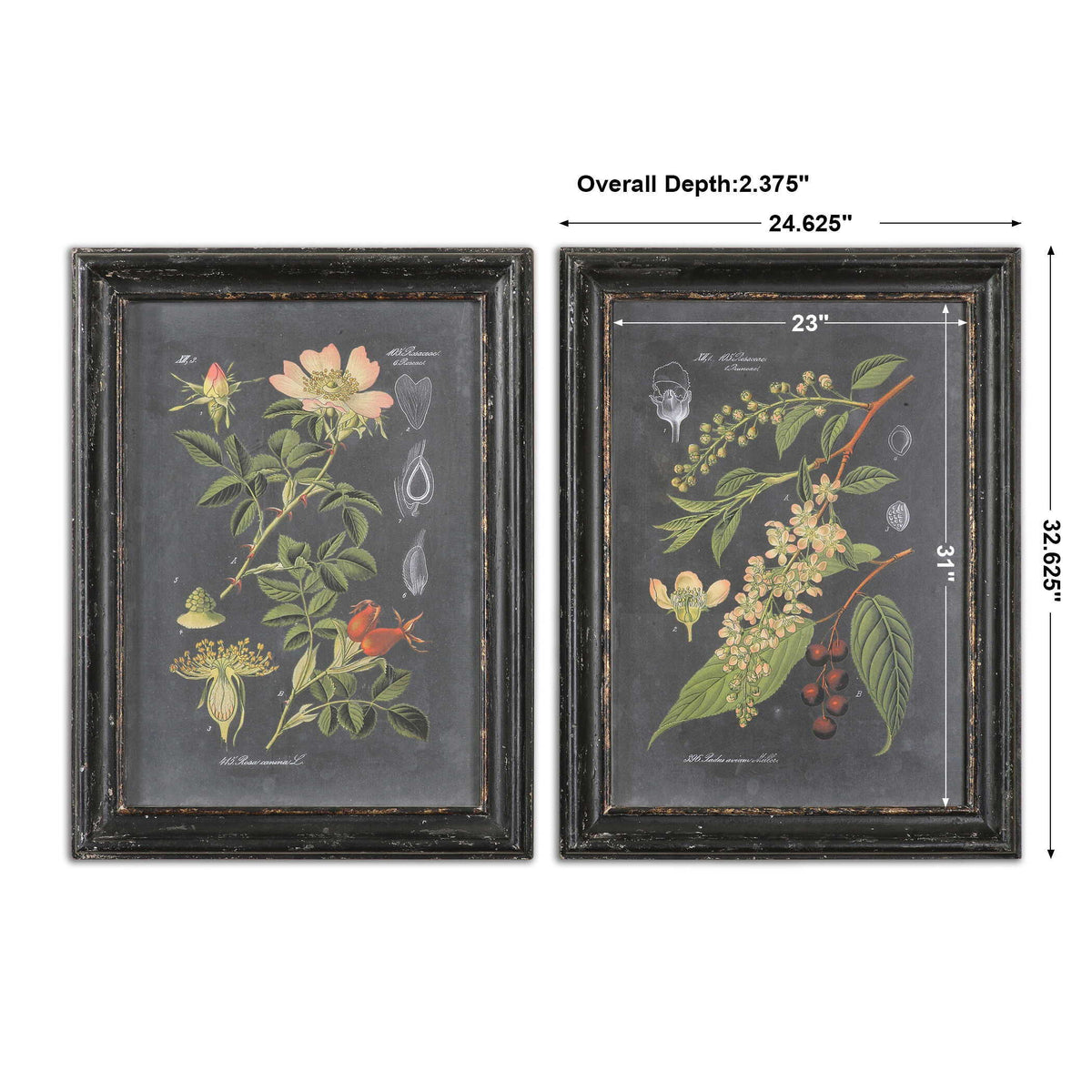 Midnight Botanicals Wall Art (Set of 2) - Black / Green by Uttermost - View 4