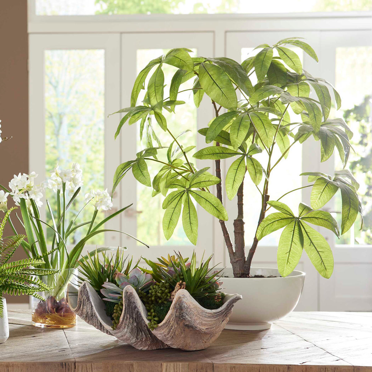 Pachira Money Money Tree - White by Uttermost - View 2