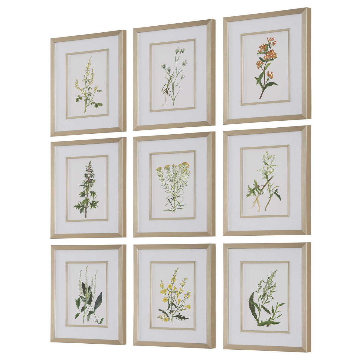 Botanical Flowers Framed Prints (Set of 9) - Green by Uttermost - View 4