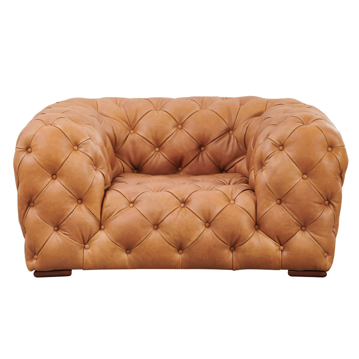 Dexter - Transitional Camel Full Italian Leather Lounge Chair - View Image 1