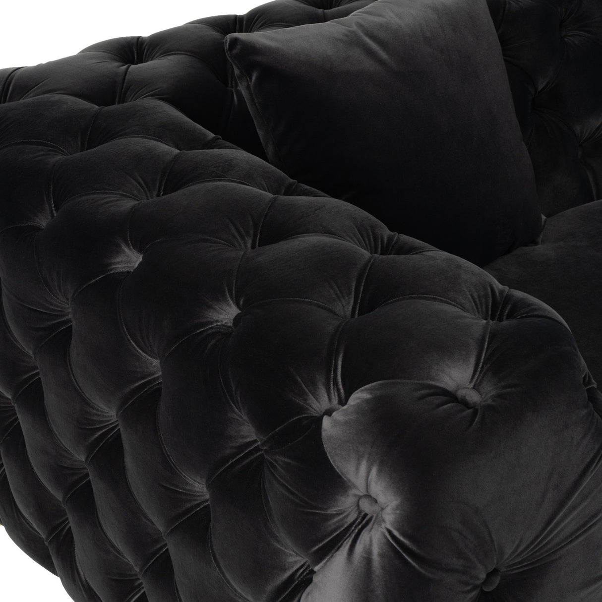 Clarice - Transitional Black Velvet Loveseat - View Image 1