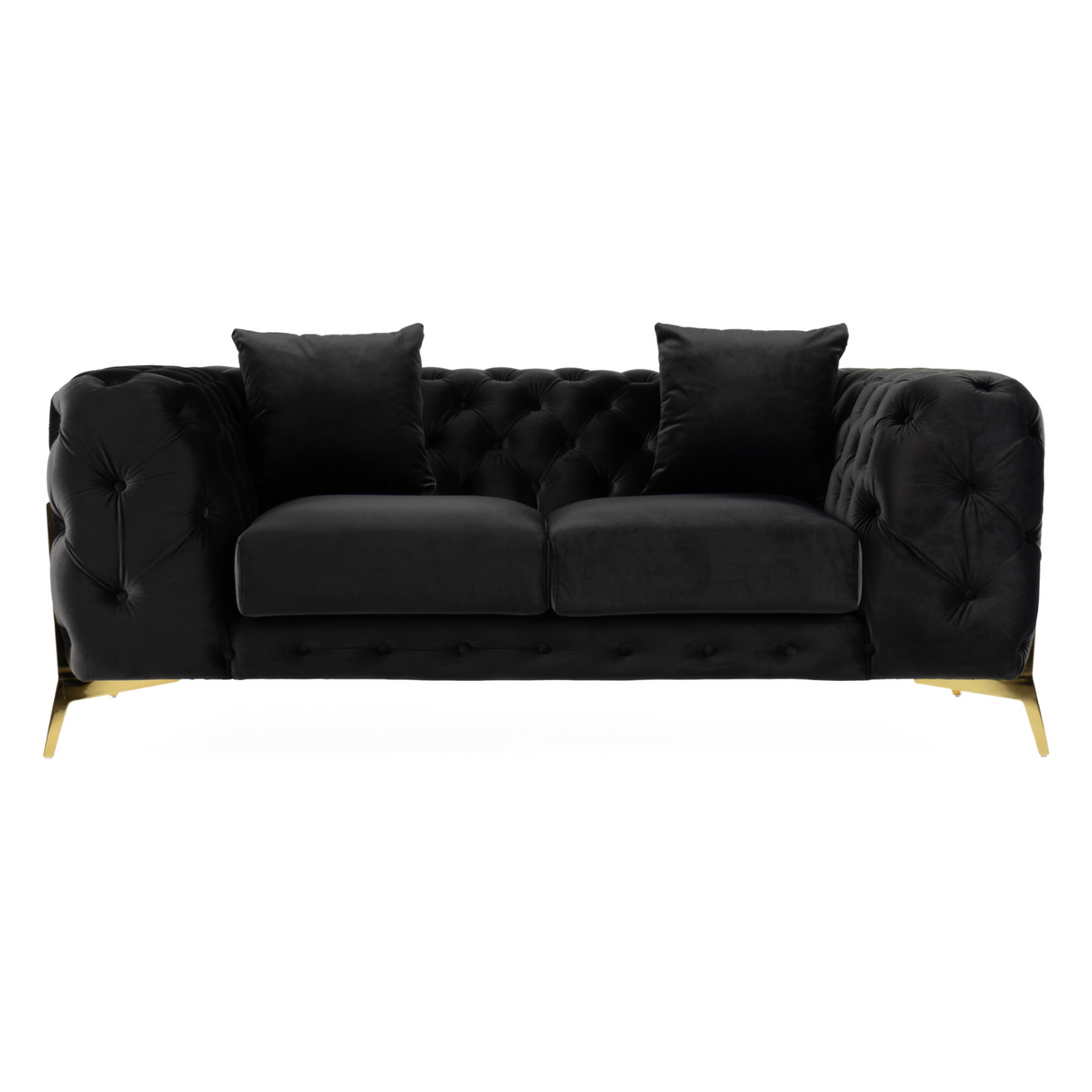 Clarice - Transitional Black Velvet Loveseat - View Image 1