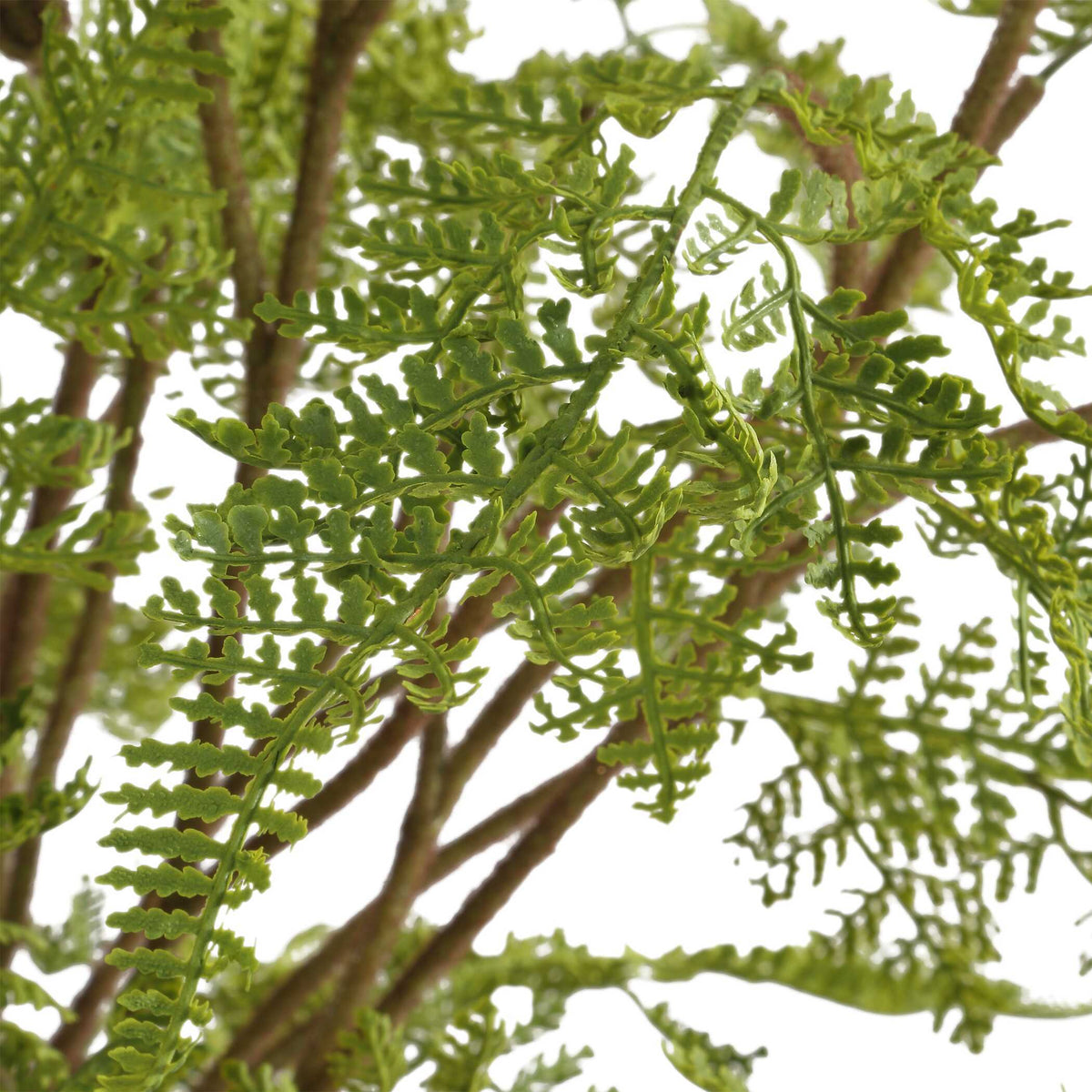 Woodland Fern Centerpiece - Green by Uttermost - View 4