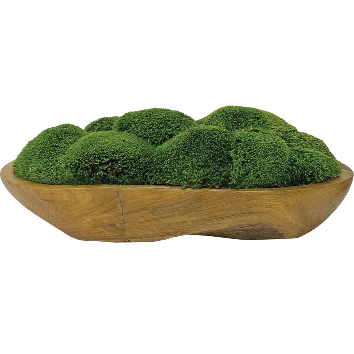 Kinsale Moss Centerpiece - Light Brown / Green by Uttermost - View 1
