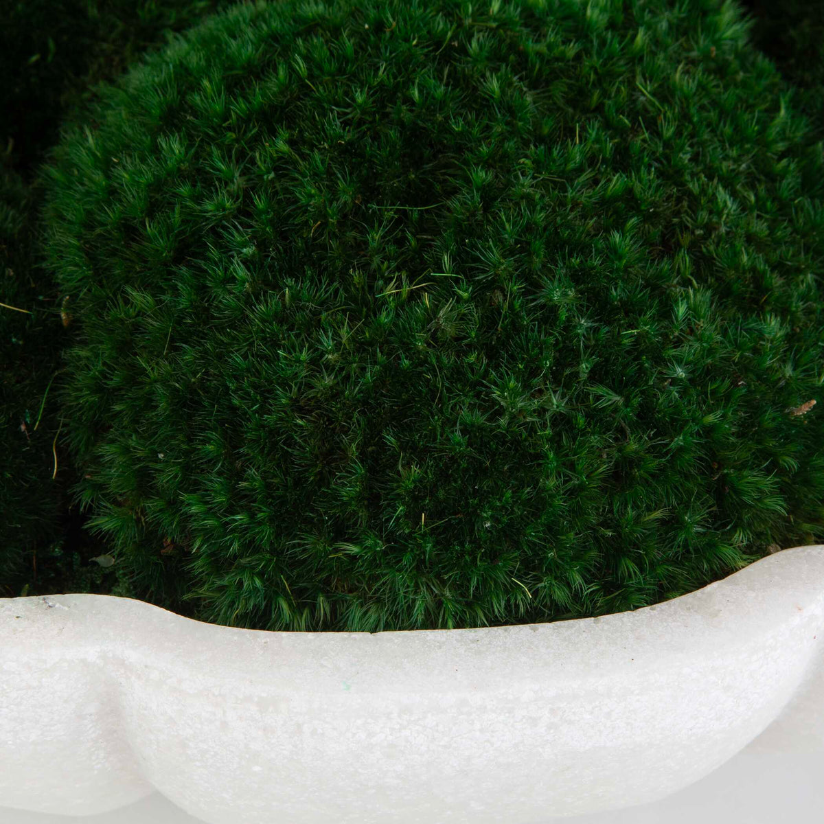 Awaken Moss Centerpiece - Green / White by Uttermost - View 4