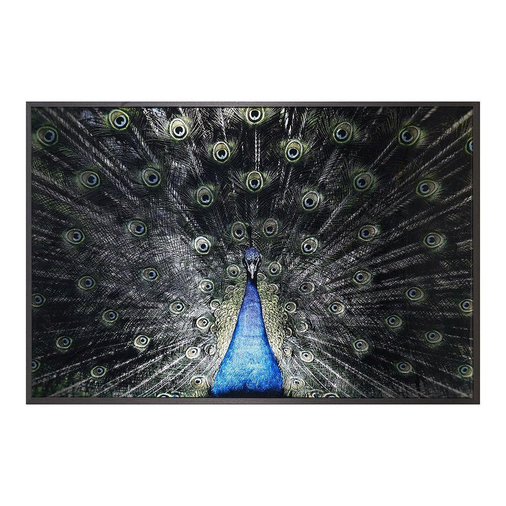 Brilliant Plumage - 72" X 48" - Charcoal Frame | Sunpan | Home Elegance USA