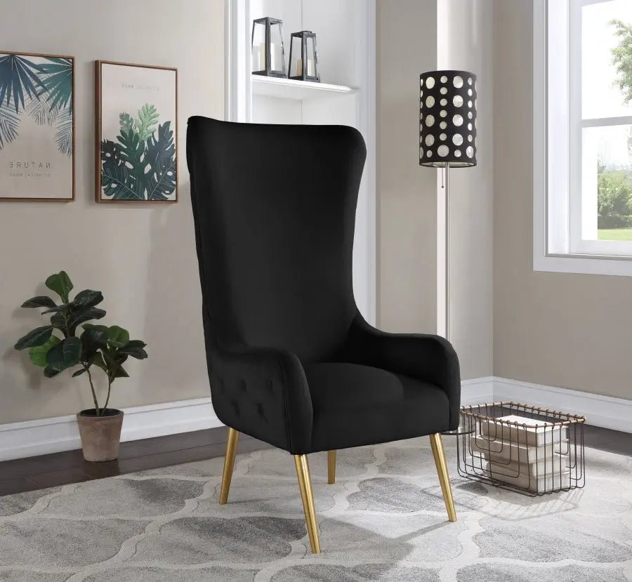 Alexander Accent Chair In Black - 536Black | Meridian | Home Elegance USA