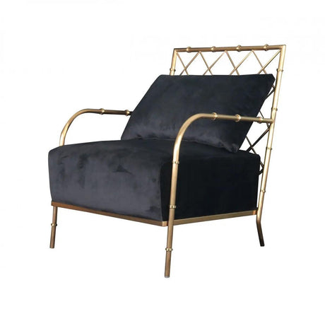 Divani Casa Ignacio Glam Black Velvet & Gold Accent Chair Vgmfoc - 2211 - Blk - Ch | Home Elegance USA