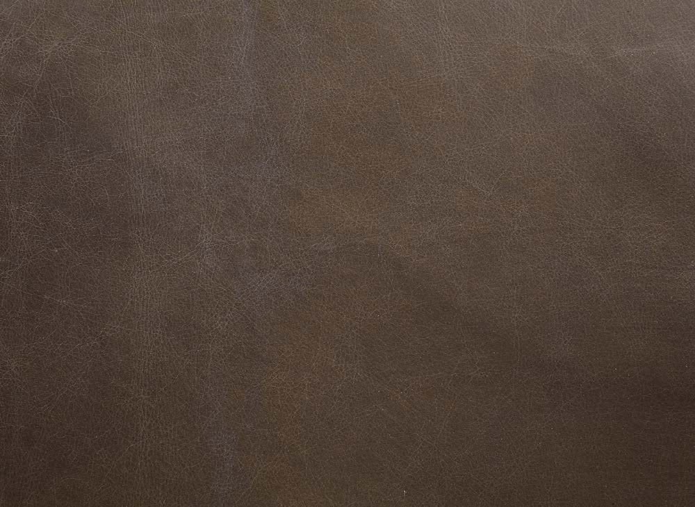 Acme - Oralia Accent Chair AC01166 Saturn Top Grain Leather