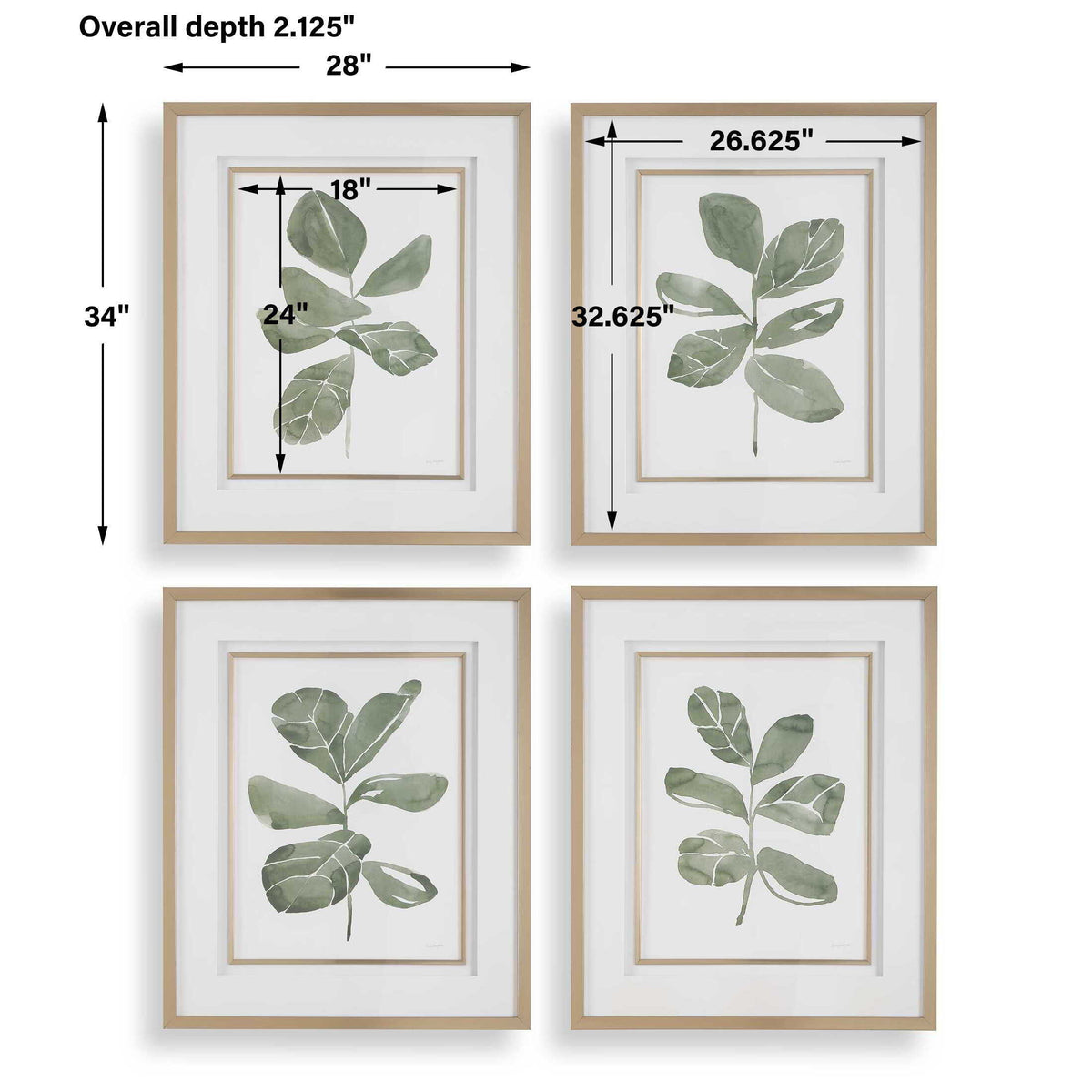Fiddle Head Leaf Botanical Prints (Set of 4) - Green / White by Uttermost - View 8
