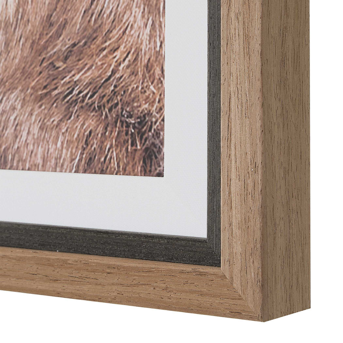 Big Horn Sheep Framed Print Black / Brown / White - Dark Brown / White by Uttermost - View 6