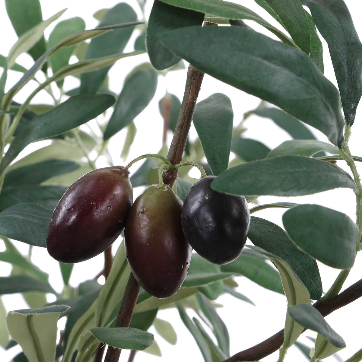 Marisol Potted Olive Plant - Gray / Green by Uttermost - View 6
