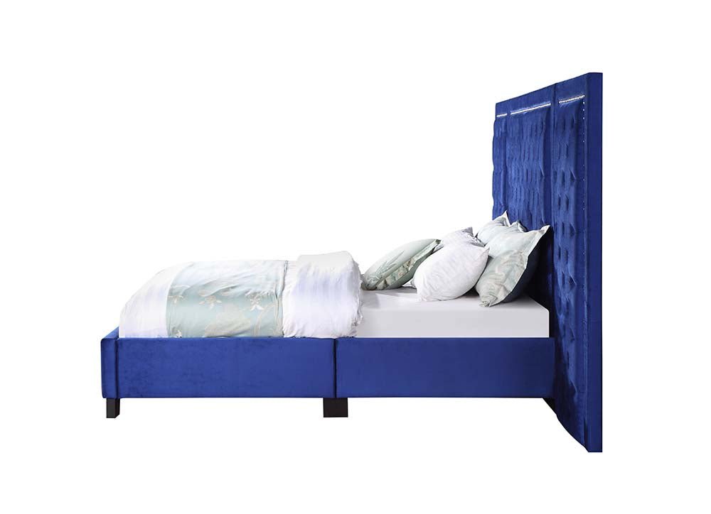 Damazy Queen Bed BD00973Q Blue Velvet | Acme | Home Elegance USA