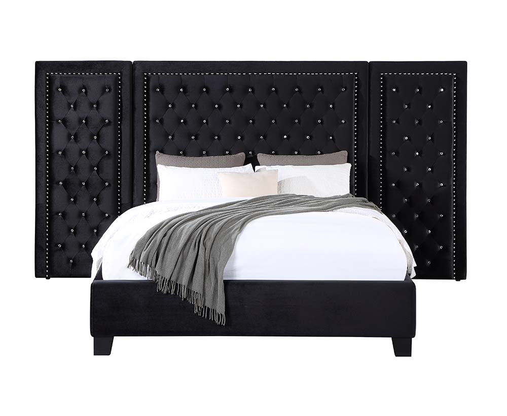 Damazy Queen Bed BD00975Q Black Velvet | Acme | Home Elegance USA